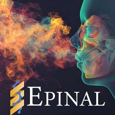 Epinal Inc.
