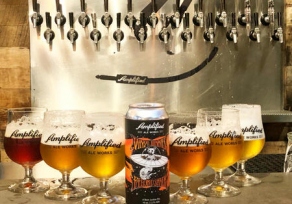 Amplified Ale Works